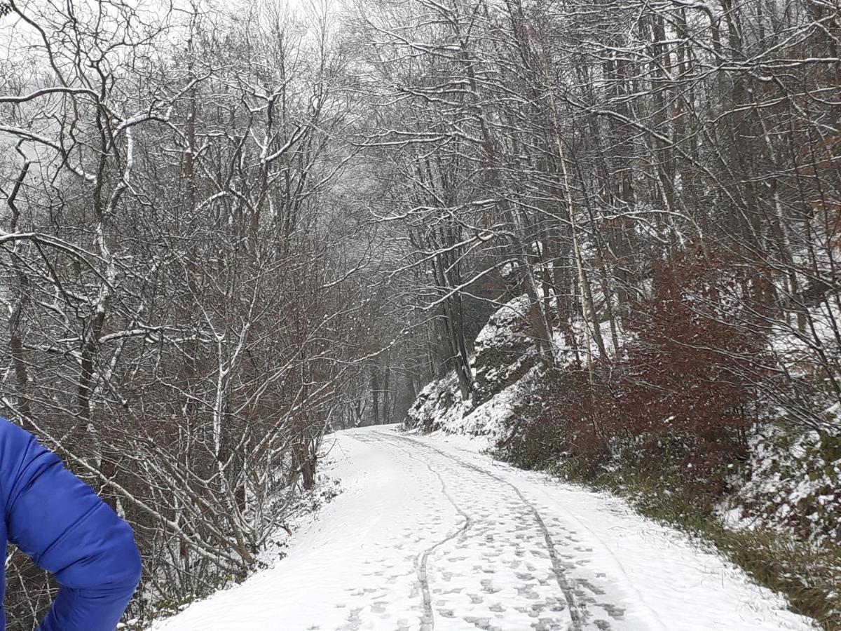 Gite Vallee Et Semoy Tournavaux Exteriér fotografie